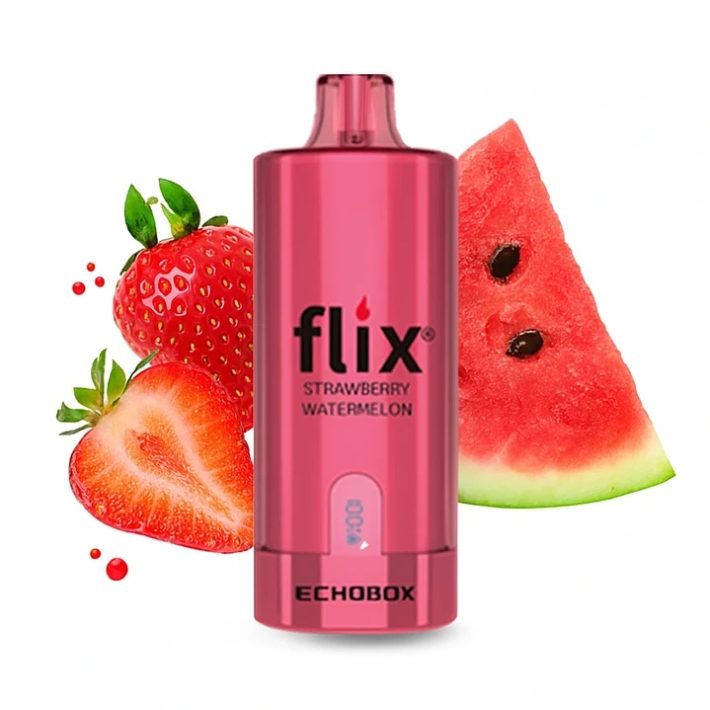 Flix Echobox Strawberry Watermelon 12000 Puff