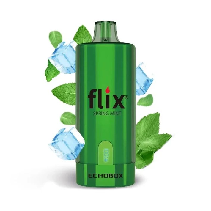 Flix Echobox Spring Mint 12000 Puff