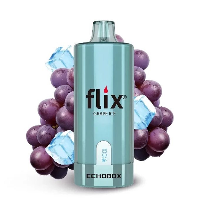 Flix Echobox Grape ICE 12000 Puff
