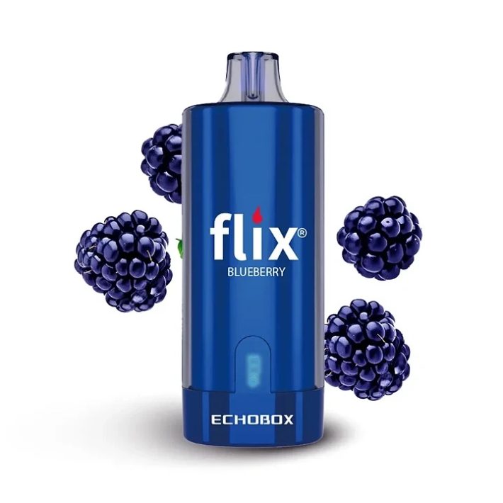 Flix Echobox Blueberry 12000 Puff
