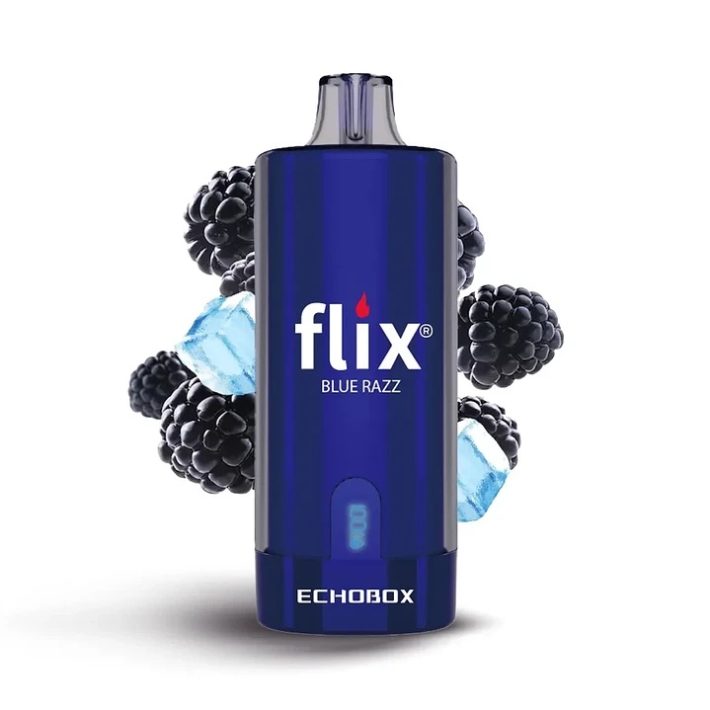 Flix Echobox Blue Razz 12000 Puff