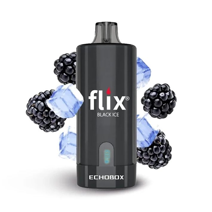 Flix Echobox Black ICE 12000 Puff