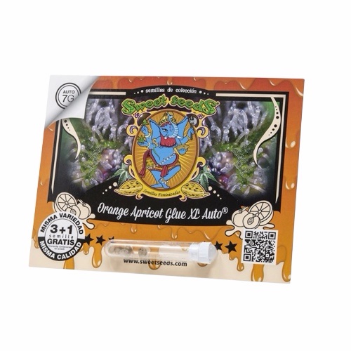 Sweet Seeds Orange Apricot Glue XL Auto®