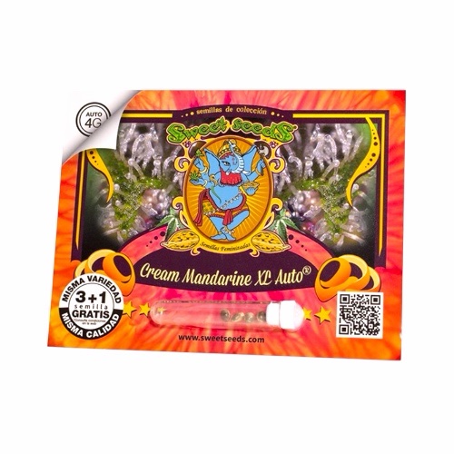 Sweet Seeds Cream Mandarine XL Auto®